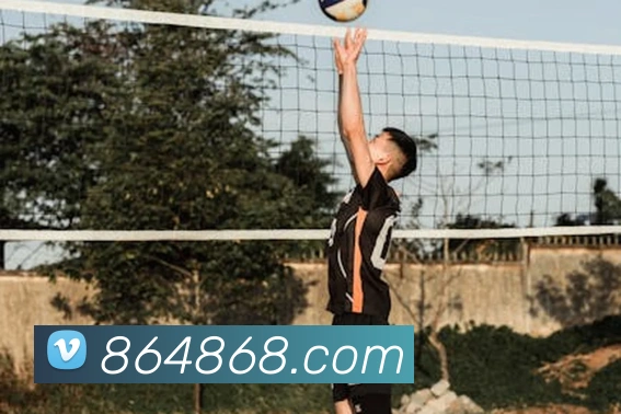 多媒体互动体验